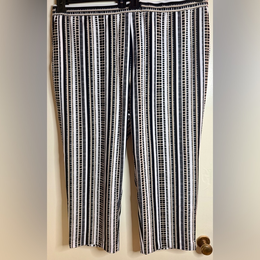 Dennis Basso Printed Luxe Crepe Pull On Crop Pants (Size 2X)